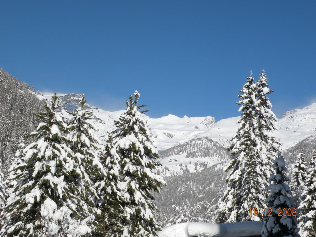 Hotel Bellevue Champoluc Dış mekan fotoğraf